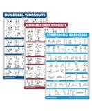 Palace Learning 3-Pack: Dumbbell Exercise Poster Resistance Bands Workouts & Stretching Tables - Laminated 18x24 - Ideal for Home Fitness & International Shipping - Buy Online on SooperMarket.com