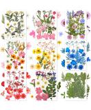 167 Pieces Real Dried Pressed Flowers Natural Dried Flowers Leaves Colorful Dry Daisy Flowers Mixed Multiple Dried Flowers for DIY Candle Resin Nails Jewelry Pendant Crafts Art Floral Decors - Buy Online on SooperMarket.com
