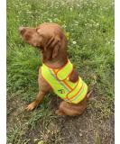 FARM-LAND Dog Reflective Vest Safety Vest Hunting - Buy Online on SooperMarket.com