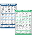 Quickfit Dumbbell & Barbell Training Poster Set - Laminated 18x27 | International Shipping Available - Buy Online on SooperMarket.com