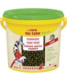 Sera Koi Color Nature 3.8 Ltr - Natural Koi Feed with Spirulina | Color-Enhancing Preservative-Free | International Shipping Available - Buy Online on SooperMarket.com