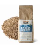 Organic Einkorn Berries - 5 lbs 5 Pound (Pack of 1) - Buy Online on SooperMarket.com