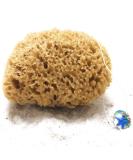 Tom & Pat natural sponge with cordel & glass trailer - Dermatest: very good uniform bathing sponge shower sponge body peeling sponge from Greece premium quality (15-16 cm) - Buy Online on SooperMarket.com