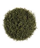Organic Dill Herb - Premium Quality Gourmet Garnish for Exquisite Dishes | 100g - Buy Online on SooperMarket.com