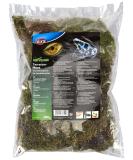 Trixie Terrarium Moss for Humid Terrariums 200 g - Buy Online on SooperMarket.com