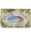 Nesti Dante Dolce Vivere Sardegna Soap - Myrtle Nectar & Helycrisum Shrub 250g - Buy Online on SooperMarket.com