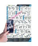 EverStretch Barbell Workout Poster for Home Gym - with Video Instructions - Large 23" x 35" | Laminated Workout Chart | Barbell Workout Posters for Home Gym | Barbell Exercise Posters - Buy Online on SooperMarket.com