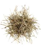 High-Quality Pine Needle Tea - 100g | Natural Pine Branches & Needles for Health Benefits - Buy Online on SooperMarket.com