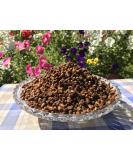 Bee Bread Perga Fermented Bee Pollen Raw & Natural No Preservatives No Genetic Engineering Suitable for Vegetarians 1Kg. - Buy Online on SooperMarket.com