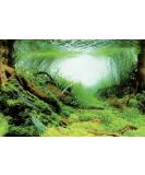 Superfish Deco Poster C5 120cm x 61cm (Mossy Aquascapes) Aquarium Background - Buy Online on SooperMarket.com