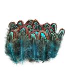 50 pcs Natural Pheasant Plumage Feathers 2-3 Inches Plumage Feathers for Sewing Crafts Clothing Decorating Accessories -Blue - Buy Online on SooperMarket.com