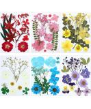 EBOOT 72 Pieces Real Dried Pressed Flowers Set for DIY Crafts & Floral Decor - Mixed Dry Flowers for Candle, Resin, Jewelry & Nail Art - Buy Online on SooperMarket.com