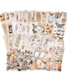 Knaid Vintage Scrapbook Supplies Pack (200 Pieces) for Junk Journal Bullet Journals Planners Botanical Paper Stickers Craft Kits Aesthetic Cottagecore Collage Album (Nature) - Buy Online on SooperMarket.com