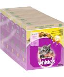 Whiskas junior dry food chicken 5x800g (5 packs) - for growing cats - extra small kibbles for kittens (2-12 months) - Different product packaging available 800 g (5 Pack) - Buy Online on SooperMarket.com