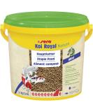 Sera Koi Royal Nature Mini 3800 ml |Main feed for koi up to 12 cm |Omega fatty acids & mannan-oligosaccharide |4% insect flour from sustainable breeding |Form -stable granules protect water in the pond 3.8 ml (1 -pack) Mini 2mm single - Buy Online on SooperMarket.com