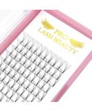 7D-C-0.07-13mm Premade Volume Eyelash Extensions | 9-20mm Short Stem Pre made Fans | 3D 5D 7D Volume Lash Extensions | C D Curl | Best Quality - Buy Online on SooperMarket.com