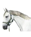 Kerbl Nylon Halter for Hippo & Pony - 6 Colors Size 0 - Durable & Adjustable Nylon Halters for Shetty Full Cob XFull - Buy Online on SooperMarket.com