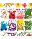 109 Piece Real Dried Pressed Flowers Set with Tweezers - Craft DIY Candle Resin Jewelry Nail Pendant Making Supplies - Buy Online on SooperMarket.com