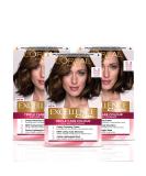 L'Oreal Paris Excellence 5.3 Golden Brown Hair Color - Pack of 3 | International Shipping Available - Buy Online on SooperMarket.com