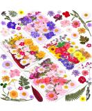 140 Pcs Dried Pressed Flowers for Resin  Real Pressed Flowers Dry Leaves Bulk Natural Herbs Kit for Scrapbooking DIY Art Crafts  Epoxy Resin Jewelry Molds  Candle  Soap Making  Nails D cor - Buy Online on SooperMarket.com