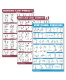 Buy Palace Learning 3-Pack: Resistance Tapes Workouts Vol. 1 & 2 + Stretching Exercises Poster Set - Laminated 18 X 24 Training Tables for International Shipping - Buy Online on SooperMarket.com