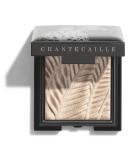 Chantecaille Luminescent Eye Shade - Cheetah | 2.5g - Buy Online on SooperMarket.com