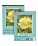 U.S. Art Supply 9 x 12 Premium Pastel Paper Pad 80 Pound (180gsm) Assorted Natural Tone Paper Colors Pad of 16-Sheets (Pack of 2 Pads) - Buy Online on SooperMarket.com