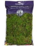 SuperMoss (25322) Forest Moss Preserved, Fresh Green, 8oz 200 in3 Bag (Appx. 8oz) - Buy Online on SooperMarket.com