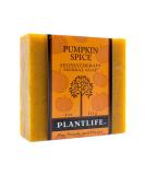 Plantlife Pumpkin Spice Bar Soap - Moisturizing and Soothing Soap for Your Skin - Hand Crafted Using Plant-Based Ingredients - Made in California 4oz Bar 4 Ounce (Pack of 1) - Buy Online on SooperMarket.com