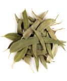 Eucalyptus Losblatt Tea Biodegrading - Eucalyptus herb tea organic eucalyptus eucalyptus tea eucalyptus organic tea eucalyptus 100 g (1 Pack) - Buy Online on SooperMarket.com