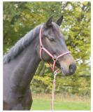 Kerbl Nylon Halter for Hippo Pony & Shetty - Full Cob & XFull Sizes in 6 Colors Including 3 Reds | Durable & Adjustable - Buy Online on SooperMarket.com