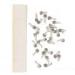 60pcs Mouth Clear Navel Paste Mouth Navel Paste Mouth Navel Sticker Dental Care Clear Breath Mouth Clear Belly Paste for Health
