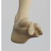 Hammer Toe Corrector for Men & Women - Straightener for Bent & Crooked Toes in 3 Sizes - Toe Splint & Alignment Support - Buy Online on SooperMarket.com
