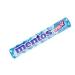 Mentos: Mint Chewy Dragees (9)