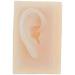 Model of Ear A Model of Silicon Ears Couple Human Model The of The Medical Research Pelle9 7 X 6.3 Centimeters / 3.82 X 2.48Inch - Buy Online on SooperMarket.com