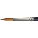 Winsor & Newton Professional Watercolor Sable Brush-Round #8 | Fine Point Artist Brush - Buy Online on SooperMarket.com
