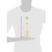 Aveda Shampure Shampoo 33.8 oz - Gentle Cleansing with Calming Aroma - Buy Online on SooperMarket.com