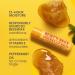 Burt's Bees Beeswax Lip Balm 4-Pack 4 ct - Discover Premium Quality Shop now! - Buy Online on SooperMarket.com