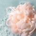 Discover EcoTools Delicate EcoPouf Loofah 1 ct - Elevate Your Style Instantly! - Buy Online on SooperMarket.com