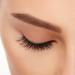 Ardell Wispies False Eyelash #113 Multipack 5 pair - Discover Premium Quality Shop now! - Buy Online on SooperMarket.com