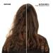 Redken Travel Size Frizz Dismiss Sulfate-Free Conditioner 1.0 oz - Discover Premium Quality Shop now! - Buy Online on SooperMarket.com
