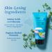 belif Aqua Bomb Hydrating Jelly Cleanser 5.4 oz - Transform Your Style with the Best Innovation Today! - Buy Online on SooperMarket.com