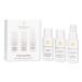 Innersense Organic Beauty Color Travel Trio Set