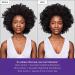Briogeo Curl Charisma Rice Amino + Shea Curl Defining Conditioner 33.8 oz - Discover Premium Quality Shop now! - Buy Online on SooperMarket.com