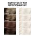 Discover Keracolor Keracanvas Complete Hair Lightening & Toning System - Elevate Your Style Instantly! - Buy Online on SooperMarket.com