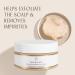 Innersense Organic Beauty True Enlightenment Scalp Scrub 6.7 oz - Discover Premium Quality Shop now! - Buy Online on SooperMarket.com