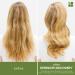 Biolage Travel Size Strength Recovery Conditioner for Damaged Hair 1.7 oz - Discover Premium Quality Shop now! - Buy Online on SooperMarket.com