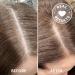 Madison Reed Root Perfection Root Touch Up Kit 6G Dervio - Transform Your Style with the Best Innovation Today! - Buy Online on SooperMarket.com