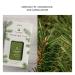 Discover Pura Pura x Thymes Smart Vial Diffuser Refill Frasier Fir - Elevate Your Style Instantly! - Buy Online on SooperMarket.com