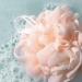 Discover EcoTools 3 Pack Delicate EcoPouf Loofahs 3 ct - Elevate Your Style Instantly! - Buy Online on SooperMarket.com